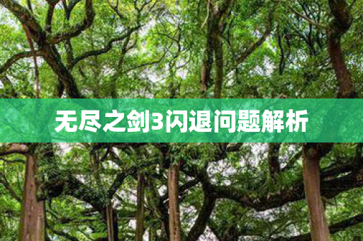 无尽之剑3闪退问题解析图片