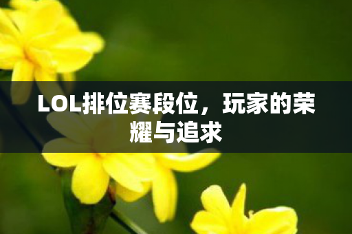 LOL排位赛段位图片