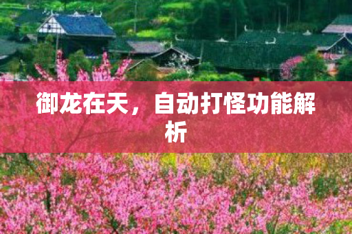 自动打怪功能解析图片