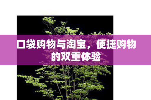 便捷购物的双重体验图片
