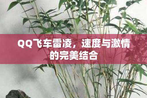 速度与激情的完美结合图片