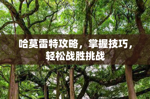 哈莫雷特攻略图片