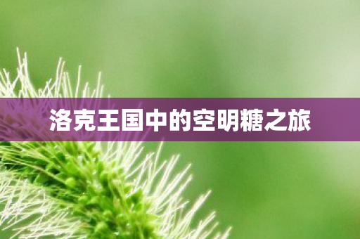 洛克王国中的空明糖之旅图片