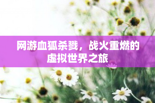 战火重燃的虚拟世界之旅图片