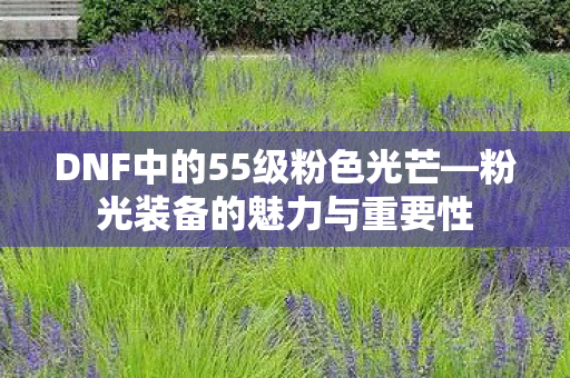 DNF中的55级粉色光芒图片