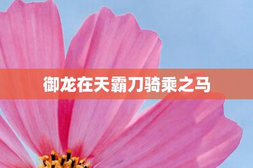 御龙在天霸刀骑乘之马图片