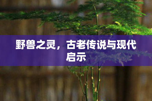古老传说与现代启示图片