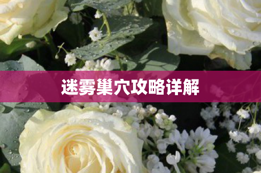 迷雾巢穴攻略详解图片