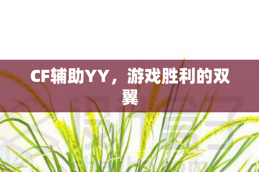 游戏胜利的双翼图片