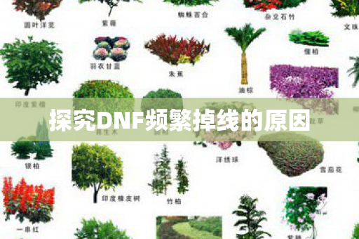 探究DNF频繁掉线的原因图片
