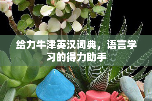 语言学习的得力助手图片