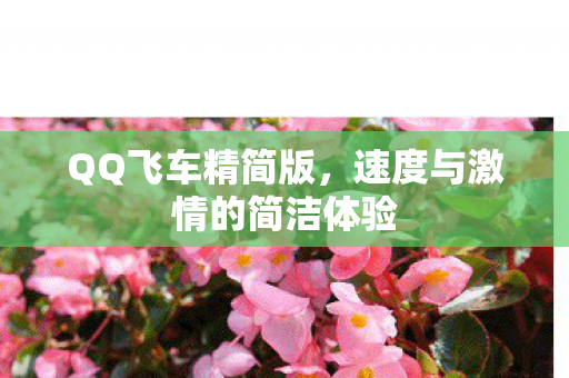 速度与激情的简洁体验图片