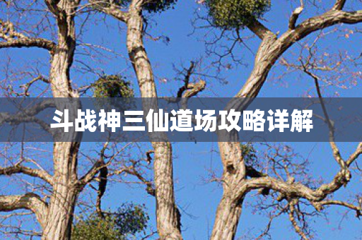 斗战神三仙道场攻略详解图片
