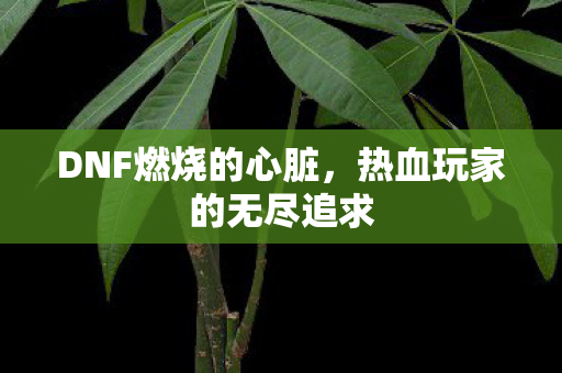 热血玩家的无尽追求图片