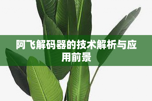 阿飞解码器的技术解析与应用前景图片