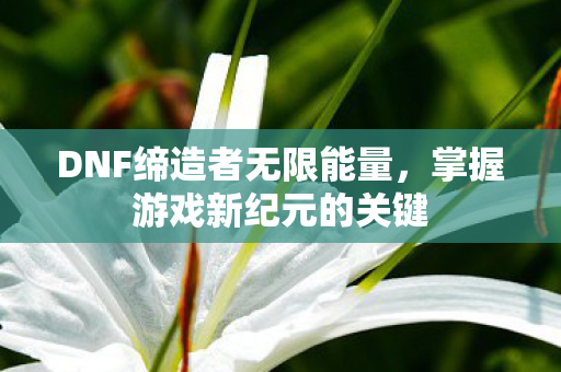 DNF缔造者无限能量图片