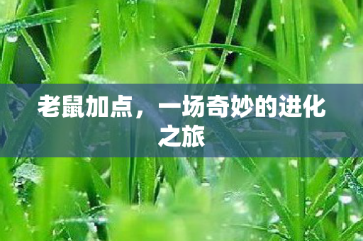 一场奇妙的进化之旅图片