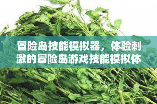 体验刺激的冒险岛游戏技能模拟体验图片
