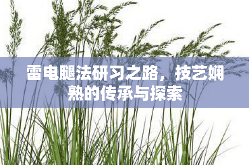 技艺娴熟的传承与探索图片