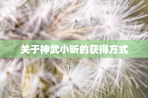 关于神武小昕的获得方式图片
