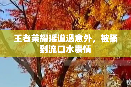 王者荣耀瑶遭遇意外图片