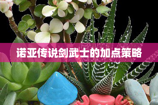 诺亚传说剑武士的加点策略图片