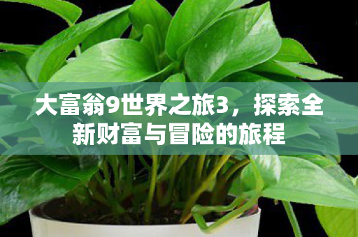 探索全新财富与冒险的旅程图片