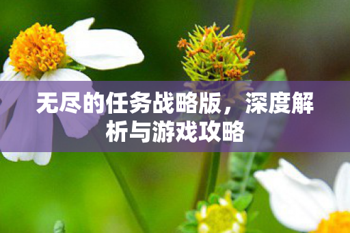 深度解析与游戏攻略图片