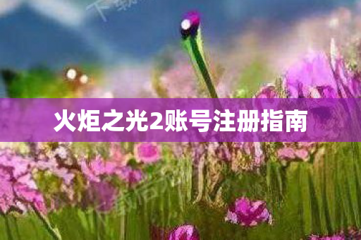 火炬之光2账号注册指南图片