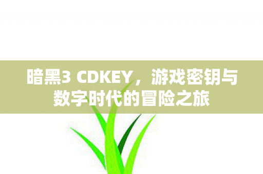 游戏密钥与数字时代的冒险之旅图片