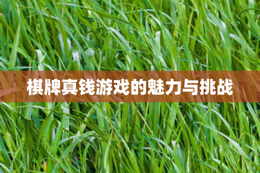 棋牌真钱游戏的魅力与挑战图片