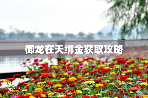 御龙在天绑金获取攻略图片