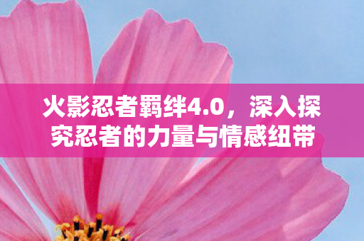 深入探究忍者的力量与情感纽带图片