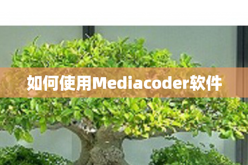 如何使用Mediacoder软件图片