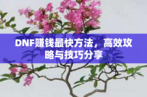 DNF赚钱最快方法图片