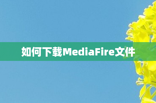 如何下载MediaFire文件图片