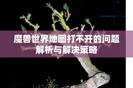 魔兽世界地图打不开的问题解析与解决策略图片
