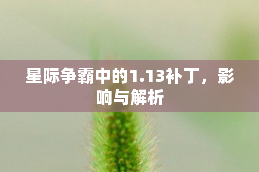 星际争霸中的1图片
