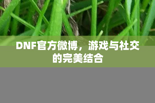 游戏与社交的完美结合图片