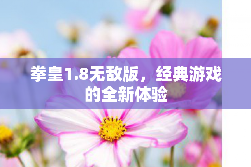 经典游戏的全新体验图片