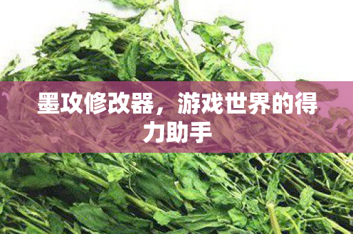 游戏世界的得力助手图片
