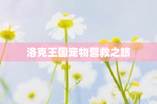 洛克王国宠物营救之旅图片