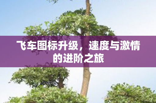 速度与激情的进阶之旅图片