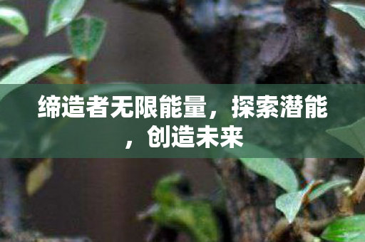 缔造者无限能量图片