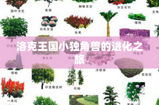 洛克王国小独角兽的进化之旅图片