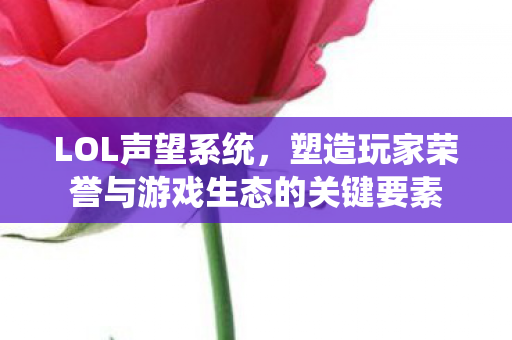 塑造玩家荣誉与游戏生态的关键要素图片