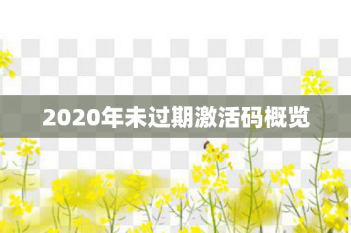 2020年未过期激活码概览图片