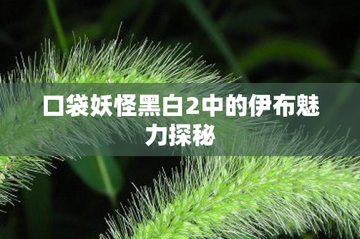 口袋妖怪黑白2中的伊布魅力探秘图片