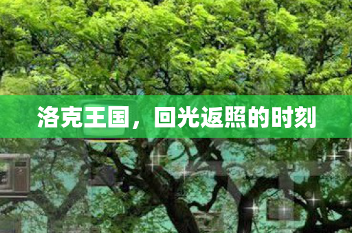 回光返照的时刻图片