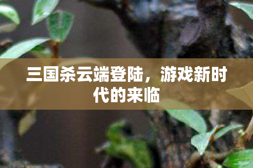 游戏新时代的来临图片